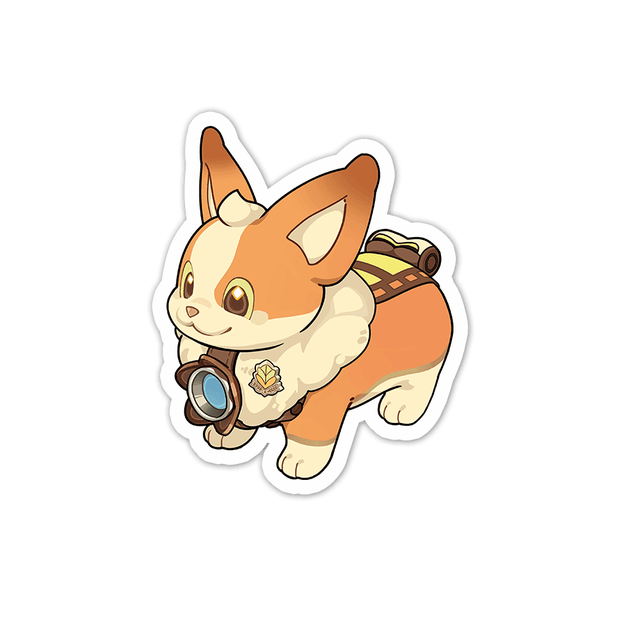 Camcorgi